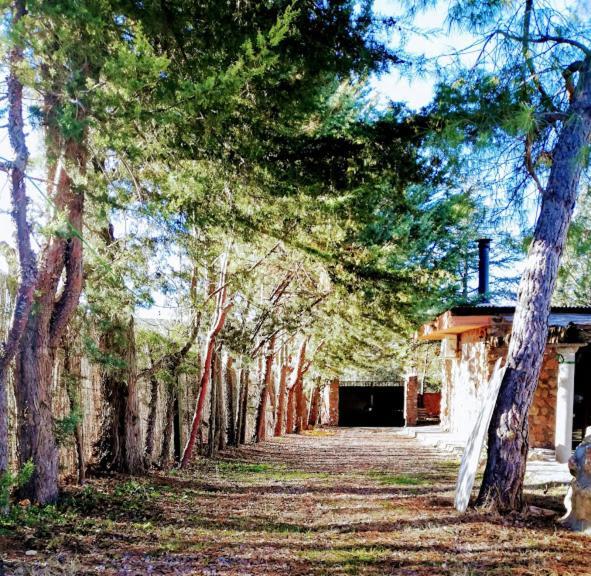 La Cabana De Piedra Ruidera Luaran gambar
